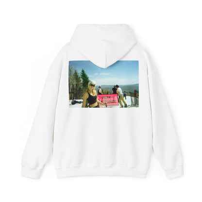 Spring Skiing Hoodie